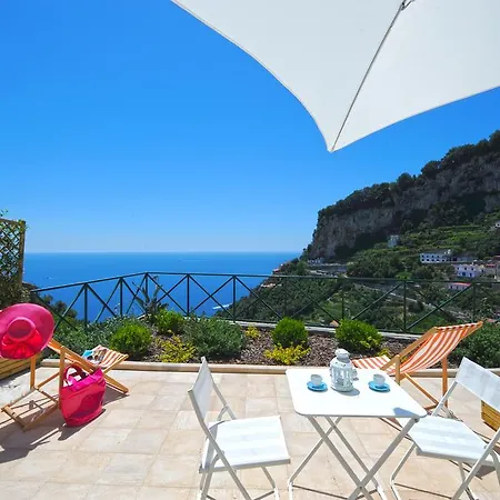 Knight Amalfi